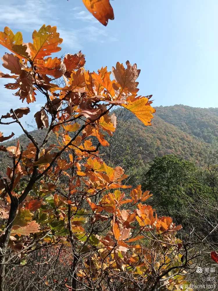绛县紫家峪印象